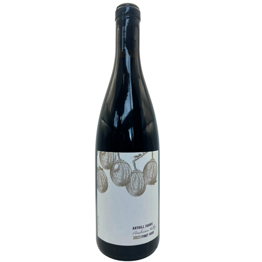 Anthill Farms, Pinot Noir, Anderson Valley, Sonoma, United States, 2023