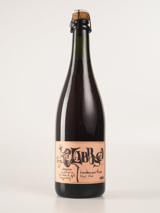 Lini 910, 'Labrusca', Lambrusco Rosato, Emilia Romagna, Italy, NV