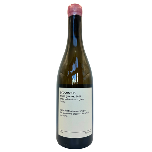 Processus, Maria Gomes, Western Cape, South Africa, 2024